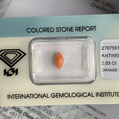 Rare NATURAL Orange Pink UNTREATED Coral 0.53ct Marquise Cabochon IGI CERTIFIED