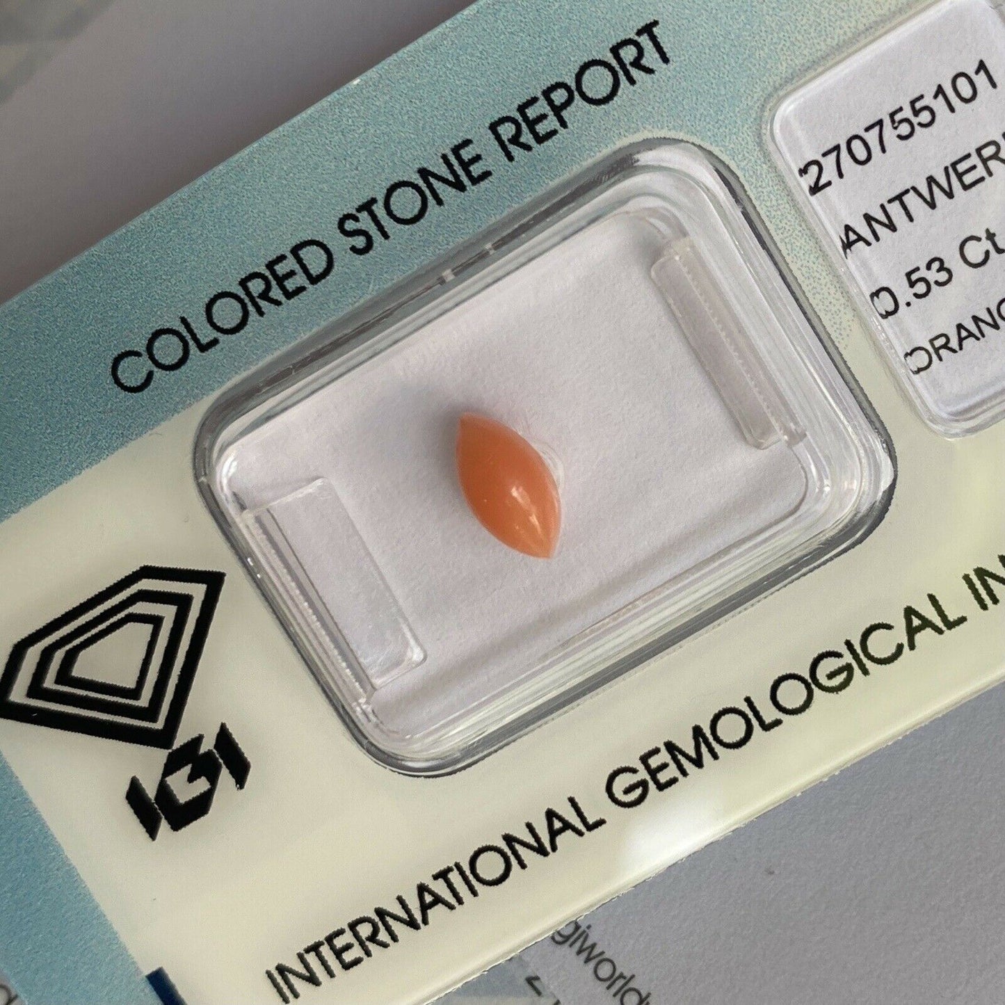 Rare NATURAL Orange Pink UNTREATED Coral 0.53ct Marquise Cabochon IGI CERTIFIED