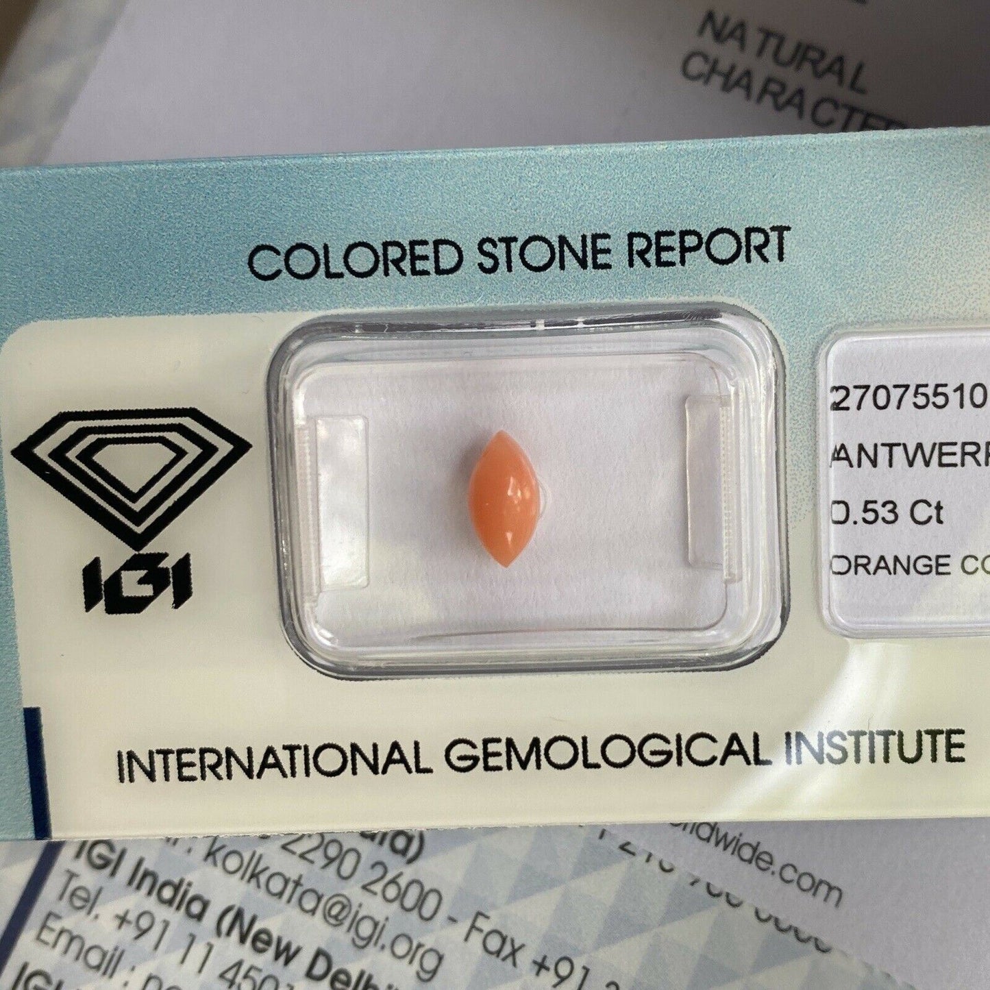 Rare NATURAL Orange Pink UNTREATED Coral 0.53ct Marquise Cabochon IGI CERTIFIED