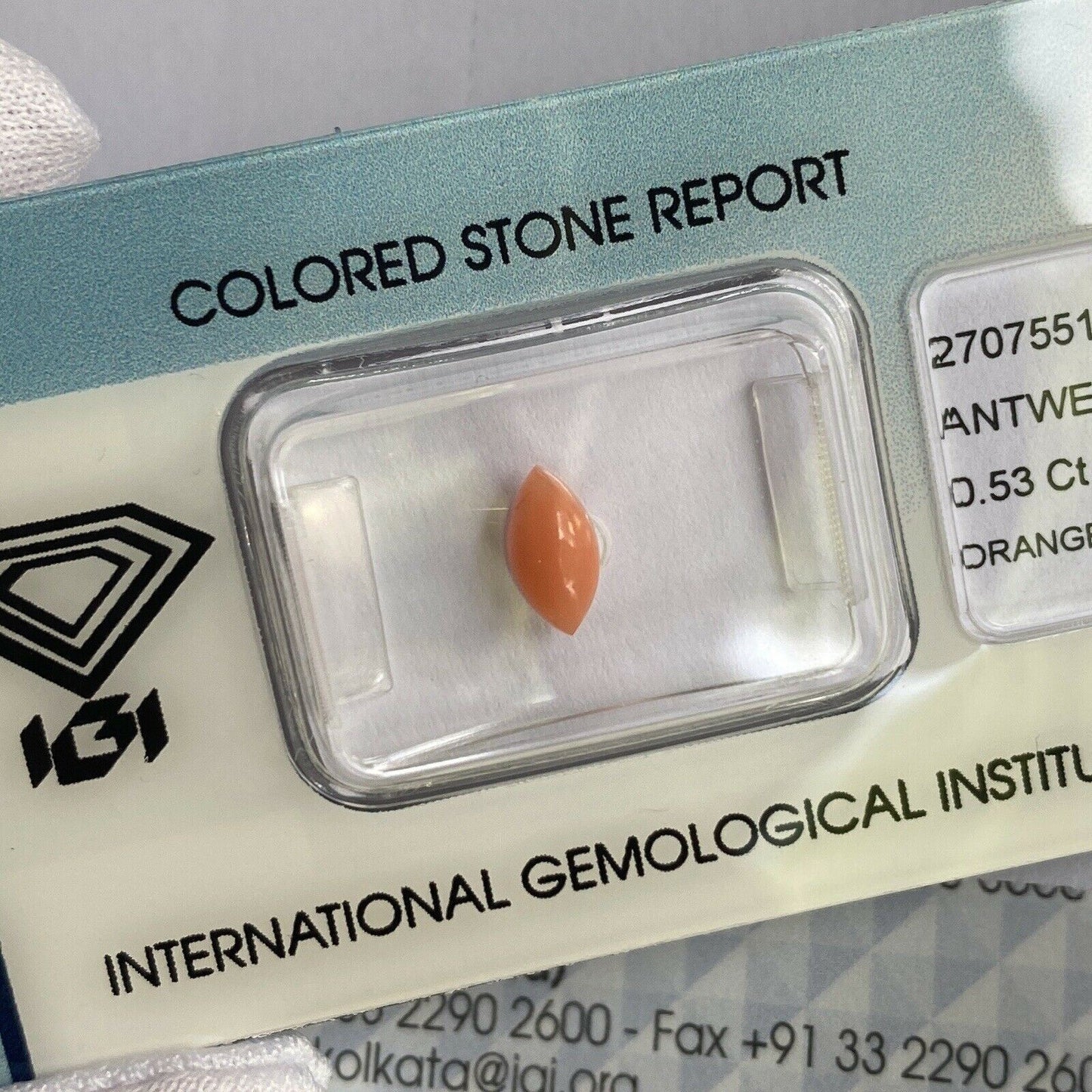 Rare NATURAL Orange Pink UNTREATED Coral 0.53ct Marquise Cabochon IGI CERTIFIED