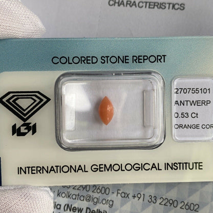 Rare NATURAL Orange Pink UNTREATED Coral 0.53ct Marquise Cabochon IGI CERTIFIED