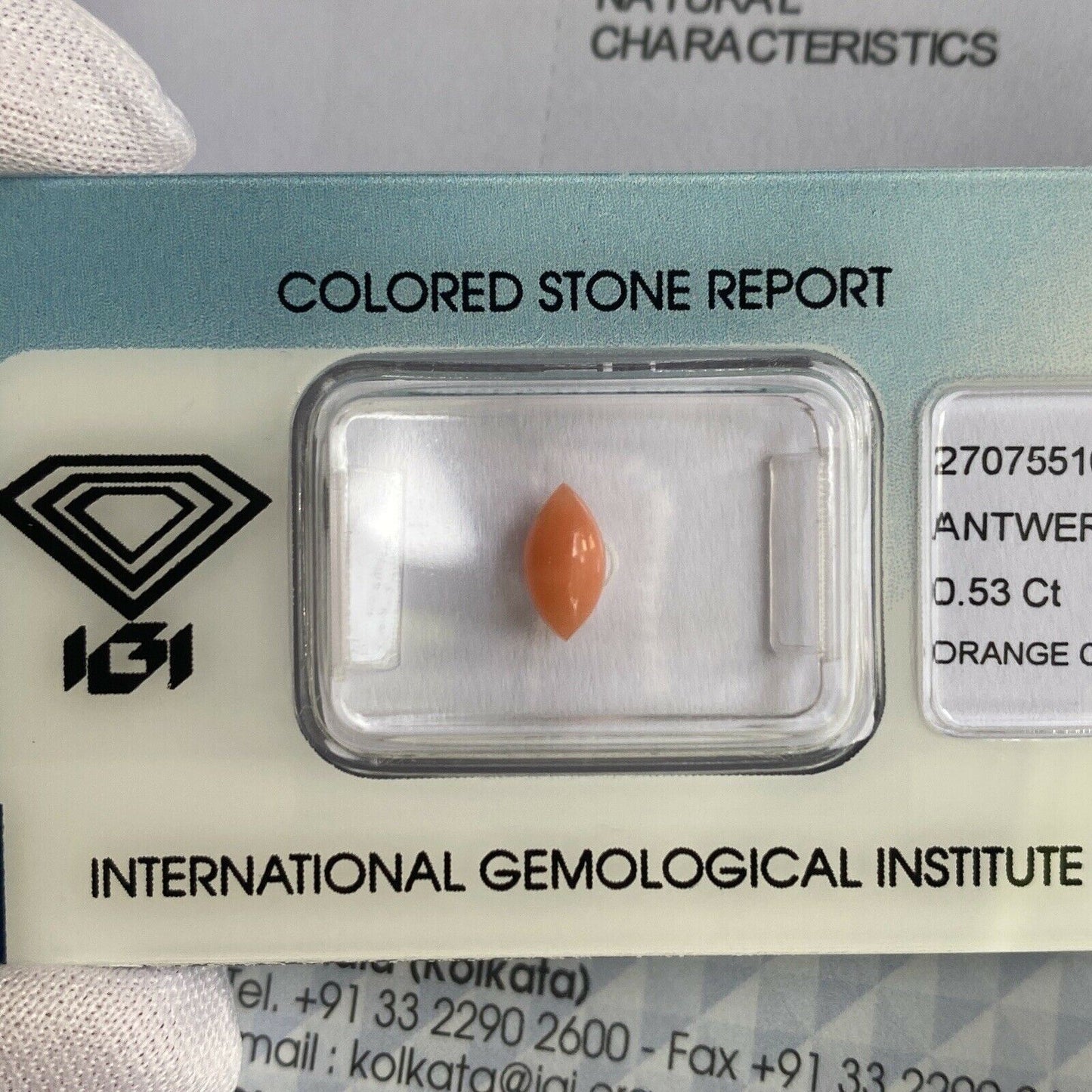 Rare NATURAL Orange Pink UNTREATED Coral 0.53ct Marquise Cabochon IGI CERTIFIED